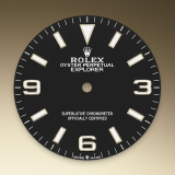 Detail image showing Black dial for Rolex Explorer 36 