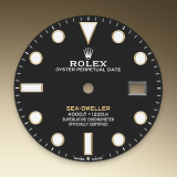 Detail image showing Black dial for Rolex Sea-Dweller 