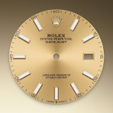 Detail image showing Champagne-colour dial for Rolex Datejust 41 