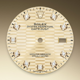 Detail image showing Golden dial for Rolex Datejust 36 