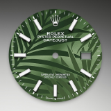 Detail image showing Olive-Green Dial for Rolex Datejust 36 