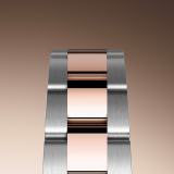 Detail image showing The Oyster bracelet for Rolex Datejust 31 