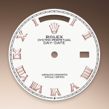 Detail image showing White dial for Rolex Day-Date 36 