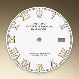 Detail image showing White dial for Rolex Datejust 36 