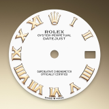 Detail image showing White dial for Rolex Datejust 31 