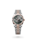Rolex Datejust 36 Datejust Oyster, 36 mm, Oystersteel and Everose gold - M126231-0029 at Boutellier Montres