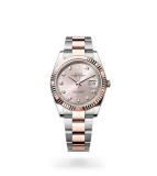 Rolex Datejust 41 Datejust Oyster, 41 mm, Oystersteel and Everose gold - M126331-0007 at Boutellier Montres