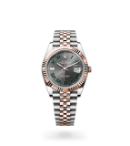 Rolex Datejust 41 Datejust Oyster, 41 mm, Oystersteel and Everose gold - M126331-0016 at Boutellier Montres