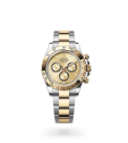 Rolex Cosmograph Daytona Oyster, 40 mm, Oystersteel and yellow gold - M126503-0004 at Boutellier Montres