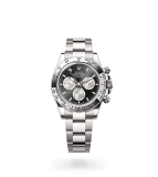 Rolex Cosmograph Daytona Oyster, 40 mm, white gold - M126509-0001 at Boutellier Montres